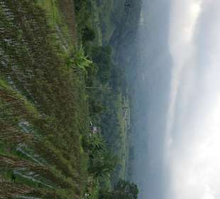 Reisterrassen auf Bali