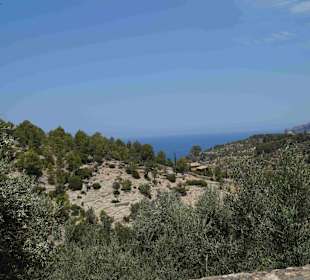 Serra de Tramuntana