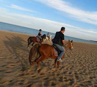 Reiten am Strand