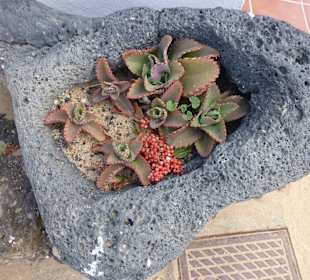 Auf der Insel La Graciosa 