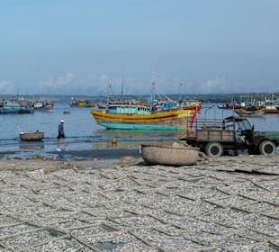 Dörrfisch ohne Ende