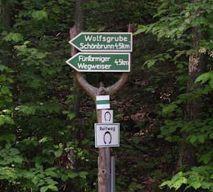 Wandern Nahetal-Waldau