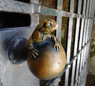 Schloss Heidelberg und UmgebungSchloss Heidelberg 