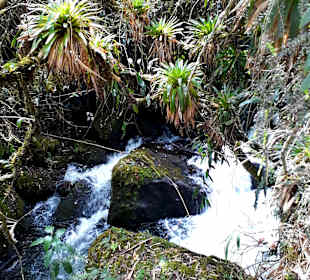 Rundweg „La Isla“ Path