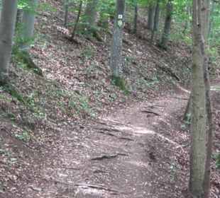 Hochgeträumt Premiumwanderung