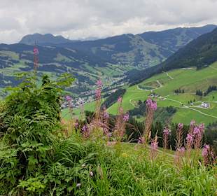 Wandern Saalbach-Hinterglemm