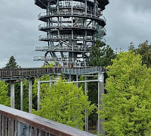 Waldwipfelfad