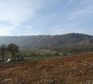 Ausblick