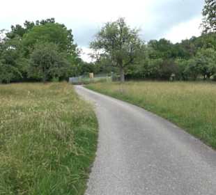 Schutzgebiet Spitzberg, Pfaffenberg