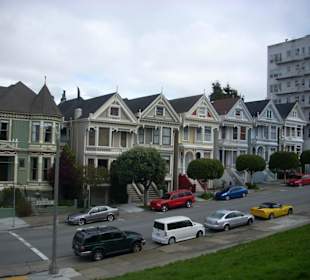 Painted Ladies