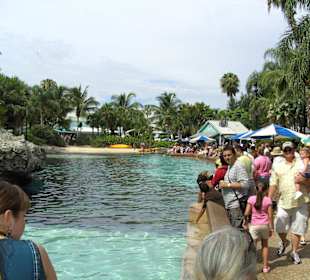 Sea World