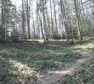 Grafenberger Brünnele