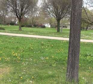 Bürgerpark Offenburg