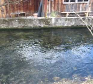 Historischer Ortsrundgang Bempflingen