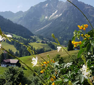 Wandern Hirschegg