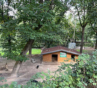 Alsdorf Zoo