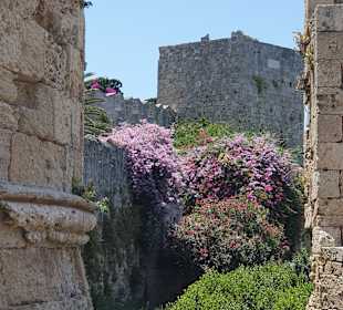 Altstadt Rhodos Stadt