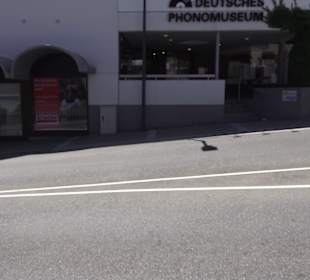 Altstadt St. Georgen