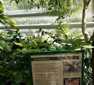 Botanischer Garten
