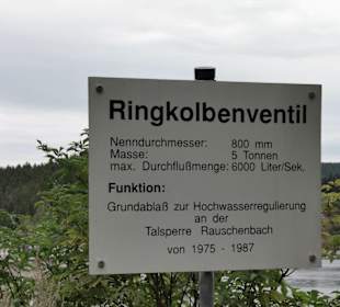 Tr05- Info über das Ringkolbenventil