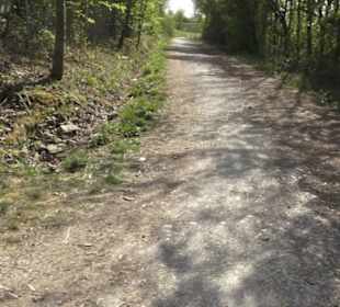 Wanderweg Firstwaldrunde