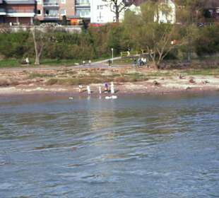 Rhein-Schifffahrt mit der Köln - Düsseldorfer