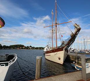 Tradionssegler im Stadthafen