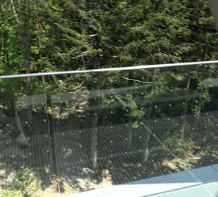 Naturparkzentrum Ruhestein