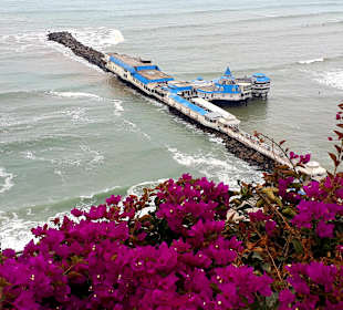 Restaurant La Rosa Nautica