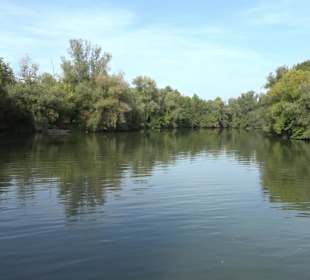 Wanderung zur Burgruine Liebenau