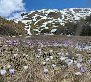 Wandern Sesto / Sexten