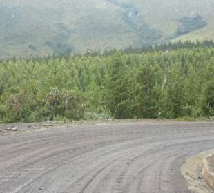 Schotterpiste zur Lagune