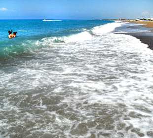 Der Strand vom 1. Badestopp