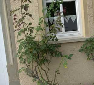 Dorfmuseum Börstingen