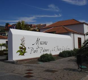 Museo del Puro Palmero