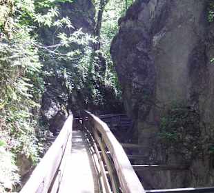 Ausflug in die Seisenbergklamm
