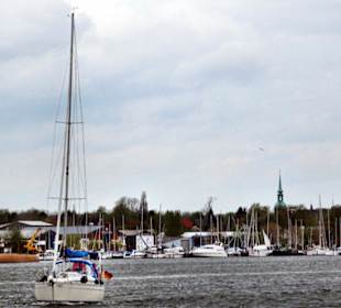Segeln auf der Schlei