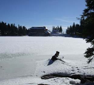 Mummelsee Winterlandschaft