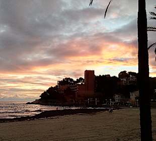 Strand Paguera/Peguera