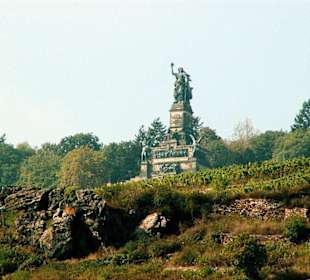 Blick vom Schiff zum Niederwalddenkmal, Rüdesheim