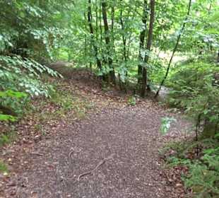 FriedWald Schönbuch