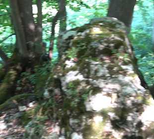 Tour entlang der Traifelbergfelsen
