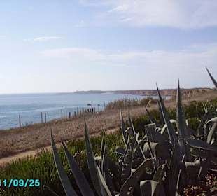 Blick über die Bucht