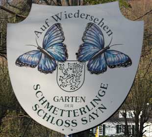 Schmetterlingsgarten