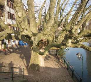 Altstadt Straßbourg