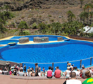 Delphinarium