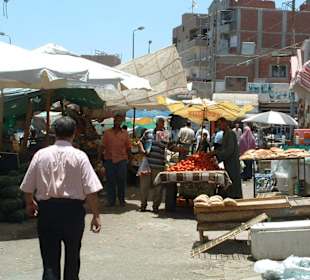 Bild vom Card Partner - "El Gouna Reisen"