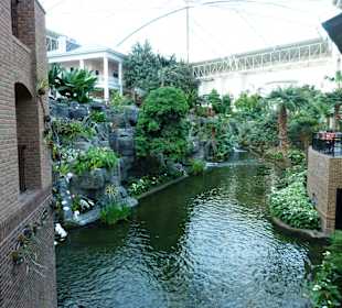 Eine tolle Atmosphäre