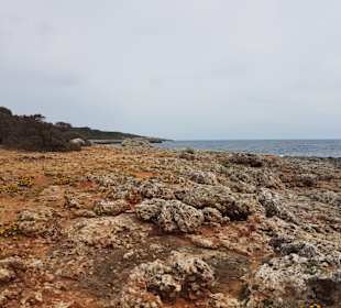 Weitläufige Felsenküste.