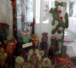 Ein Kakteengarten aus Marzipan